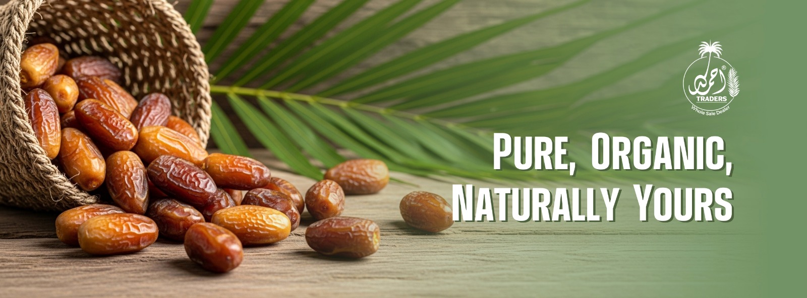 WhatsApp Image 2025-10-11 at 1.48.32 PM (1)